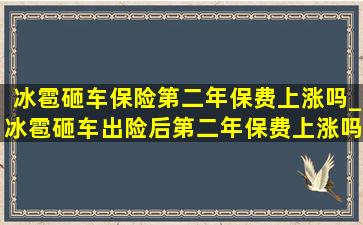 冰雹砸车保险第二年保费上涨吗_冰雹砸车出险后第二年保费上涨吗