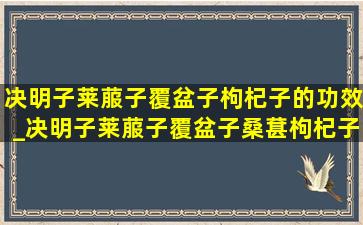 决明子莱菔子覆盆子枸杞子的功效_决明子莱菔子覆盆子桑葚枸杞子