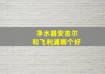 净水器安吉尔和飞利浦哪个好