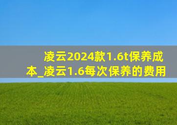 凌云2024款1.6t保养成本_凌云1.6每次保养的费用