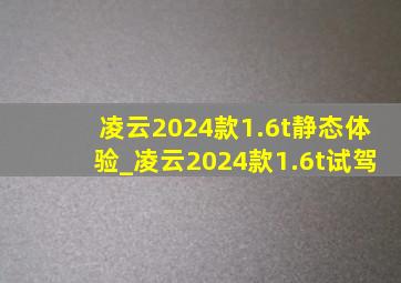 凌云2024款1.6t静态体验_凌云2024款1.6t试驾