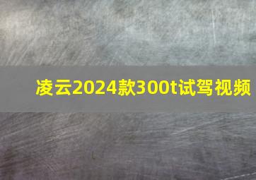 凌云2024款300t试驾视频