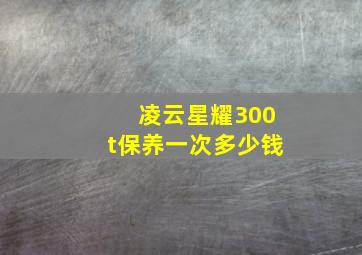 凌云星耀300t保养一次多少钱