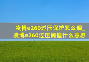 凌博e260过压保护怎么调_凌博e260过压阀值什么意思