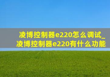 凌博控制器e220怎么调试_凌博控制器e220有什么功能