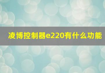 凌博控制器e220有什么功能