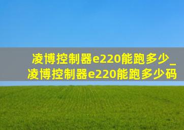 凌博控制器e220能跑多少_凌博控制器e220能跑多少码