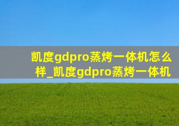 凯度gdpro蒸烤一体机怎么样_凯度gdpro蒸烤一体机