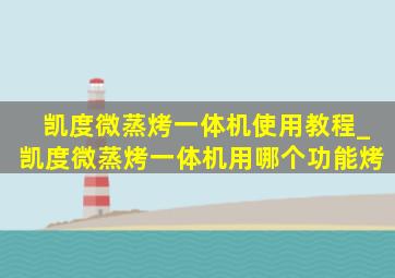 凯度微蒸烤一体机使用教程_凯度微蒸烤一体机用哪个功能烤