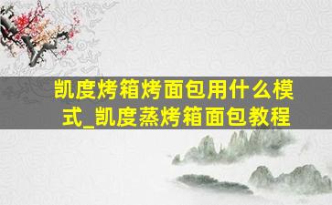 凯度烤箱烤面包用什么模式_凯度蒸烤箱面包教程