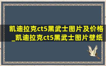 凯迪拉克ct5黑武士图片及价格_凯迪拉克ct5黑武士图片壁纸