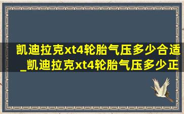 凯迪拉克xt4轮胎气压多少合适_凯迪拉克xt4轮胎气压多少正常