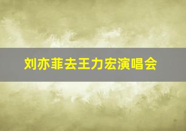 刘亦菲去王力宏演唱会