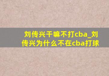 刘传兴干嘛不打cba_刘传兴为什么不在cba打球