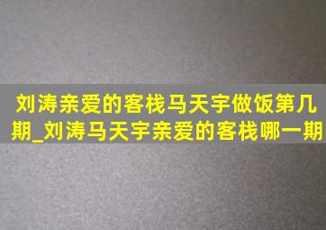 刘涛亲爱的客栈马天宇做饭第几期_刘涛马天宇亲爱的客栈哪一期