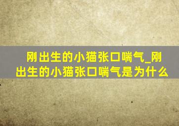 刚出生的小猫张口喘气_刚出生的小猫张口喘气是为什么