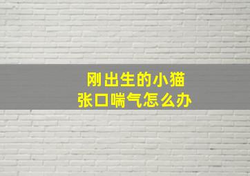 刚出生的小猫张口喘气怎么办