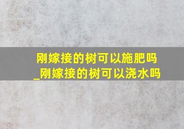 刚嫁接的树可以施肥吗_刚嫁接的树可以浇水吗