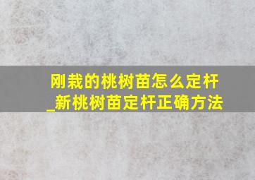 刚栽的桃树苗怎么定杆_新桃树苗定杆正确方法