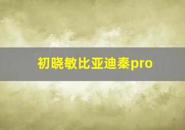 初晓敏比亚迪秦pro