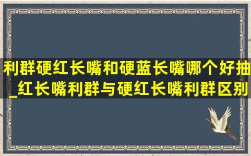 利群硬红长嘴和硬蓝长嘴哪个好抽_红长嘴利群与硬红长嘴利群区别