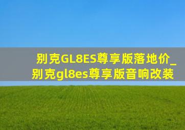 别克GL8ES尊享版落地价_别克gl8es尊享版音响改装