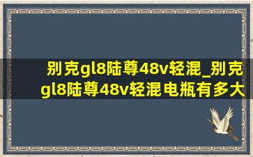 别克gl8陆尊48v轻混_别克gl8陆尊48v轻混电瓶有多大