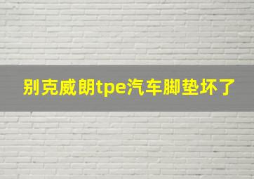 别克威朗tpe汽车脚垫坏了