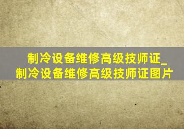 制冷设备维修高级技师证_制冷设备维修高级技师证图片