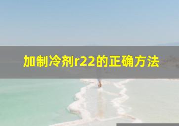 加制冷剂r22的正确方法