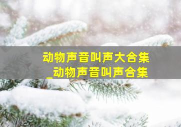 动物声音叫声大合集_动物声音叫声合集