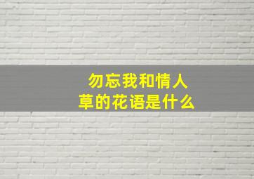 勿忘我和情人草的花语是什么