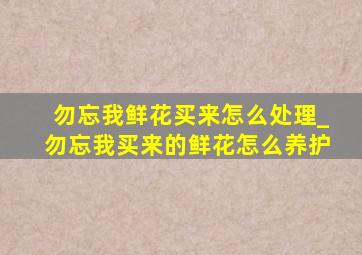 勿忘我鲜花买来怎么处理_勿忘我买来的鲜花怎么养护