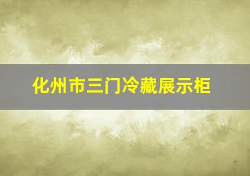 化州市三门冷藏展示柜