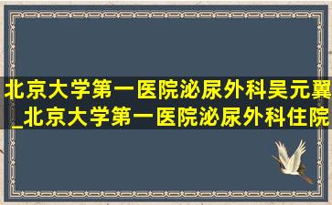 北京大学第一医院泌尿外科吴元翼_北京大学第一医院泌尿外科住院部