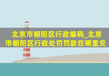 北京市朝阳区行政编码_北京市朝阳区行政处罚罚款在哪里交