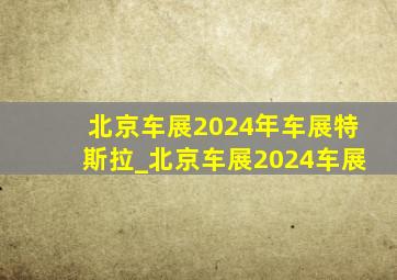 北京车展2024年车展特斯拉_北京车展2024车展