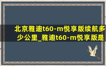 北京雅迪t60-m悦享版续航多少公里_雅迪t60-m悦享版是什么类型电池