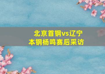 北京首钢vs辽宁本钢杨鸣赛后采访