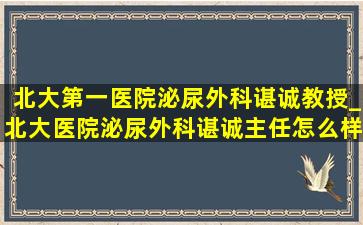 北大第一医院泌尿外科谌诚教授_北大医院泌尿外科谌诚主任怎么样