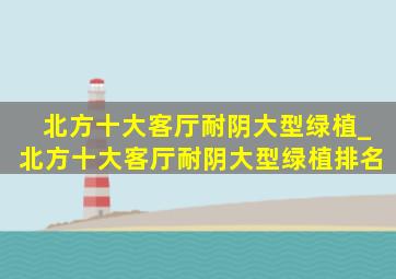 北方十大客厅耐阴大型绿植_北方十大客厅耐阴大型绿植排名