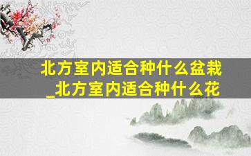 北方室内适合种什么盆栽_北方室内适合种什么花