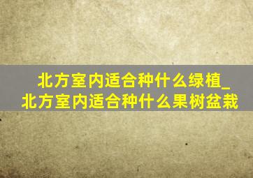 北方室内适合种什么绿植_北方室内适合种什么果树盆栽