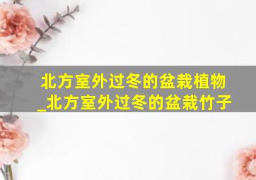 北方室外过冬的盆栽植物_北方室外过冬的盆栽竹子