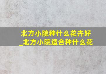 北方小院种什么花卉好_北方小院适合种什么花