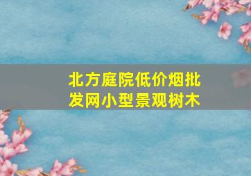 北方庭院(低价烟批发网)小型景观树木