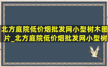 北方庭院(低价烟批发网)小型树木图片_北方庭院(低价烟批发网)小型树木