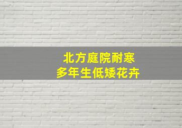 北方庭院耐寒多年生低矮花卉