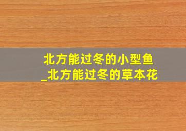 北方能过冬的小型鱼_北方能过冬的草本花