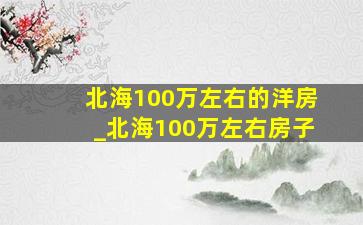 北海100万左右的洋房_北海100万左右房子